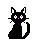 A black cat